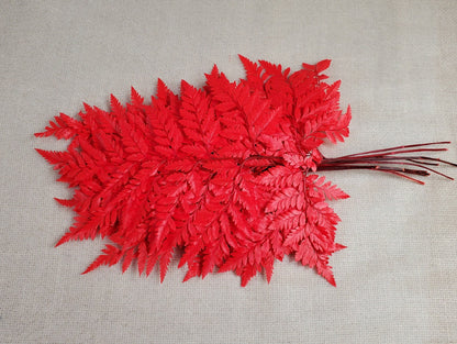 Red Preserved Fern: Wedding Bouquet Filler, Dried Flower Arrangement (19-20" Tall)