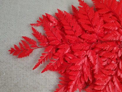 Red Preserved Fern: Wedding Bouquet Filler, Dried Flower Arrangement (19-20" Tall)