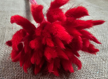 50-55 Stems Dried Bunny Tail Grass: Boho Wedding Decor