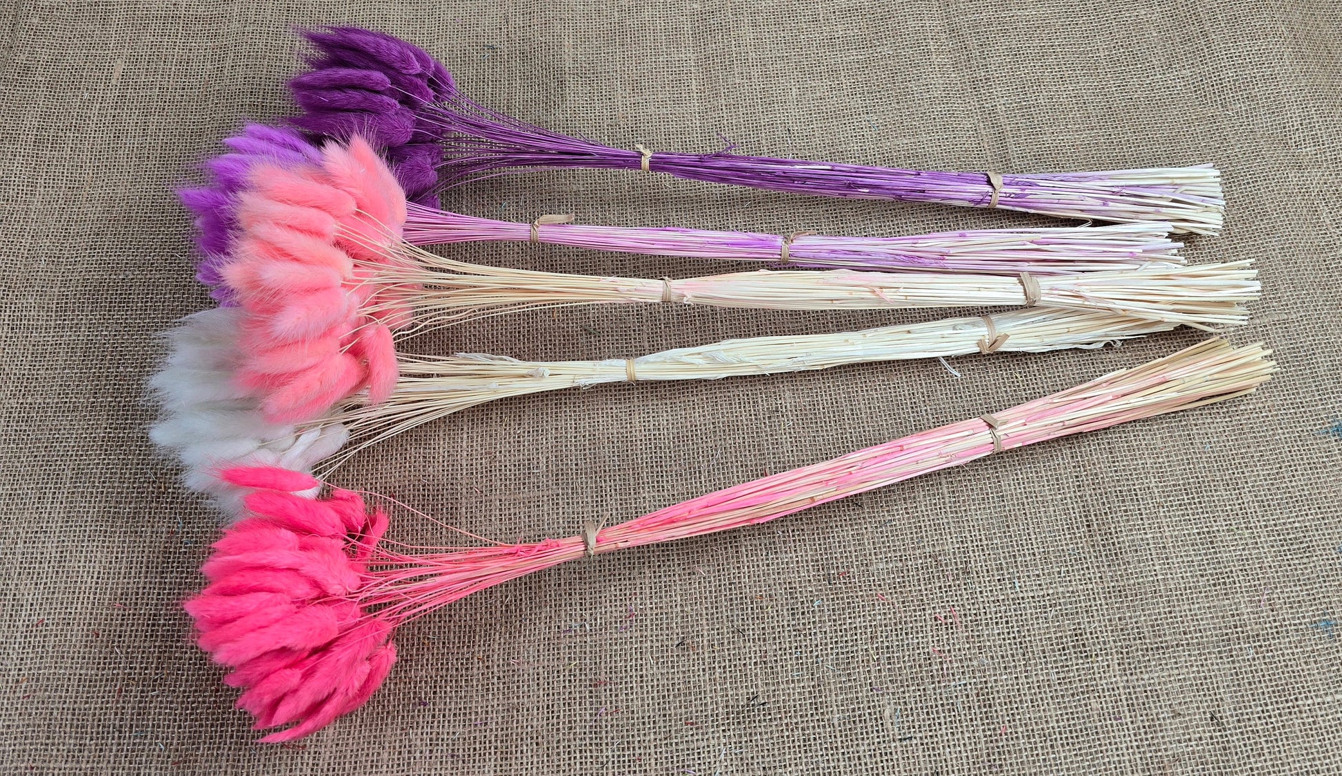 Purple Dried Bunny Tail Grass Stems: Boho Wedding Decor