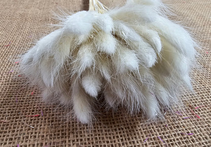 Purple Dried Bunny Tail Grass Stems: Boho Wedding Decor