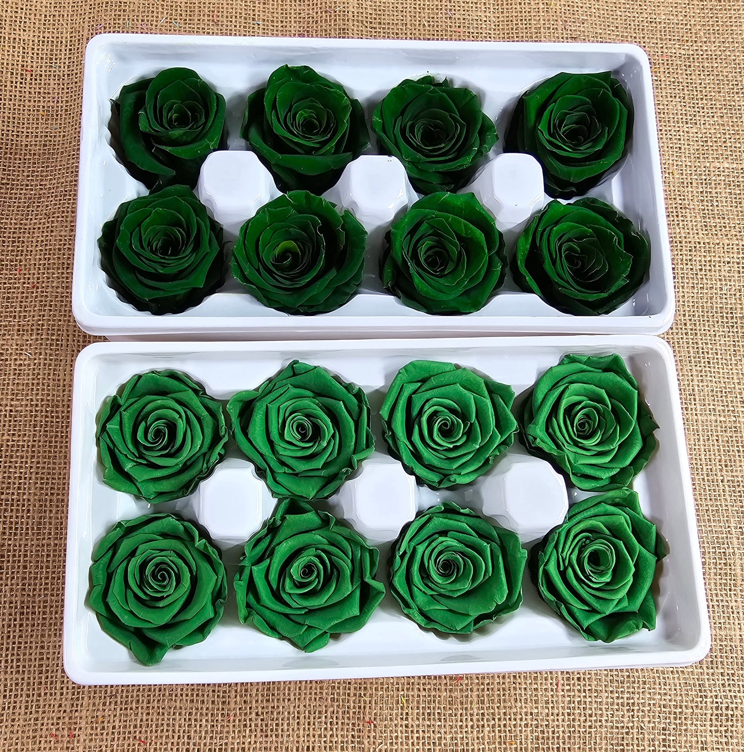 Dark Green Preserved Roses: Wedding Bouquet, Prom Decor - Set of 8
