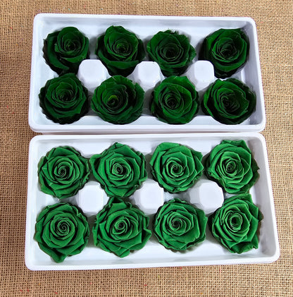 Dark Green Preserved Roses: Wedding Bouquet, Prom Decor - Set of 8