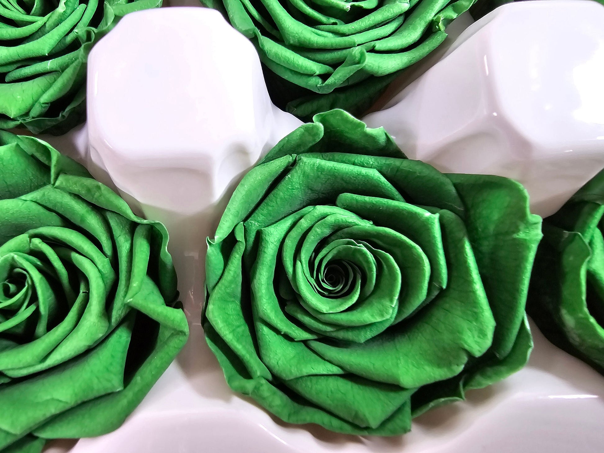 Dark Green Preserved Roses: Wedding Bouquet, Prom Decor - Set of 8