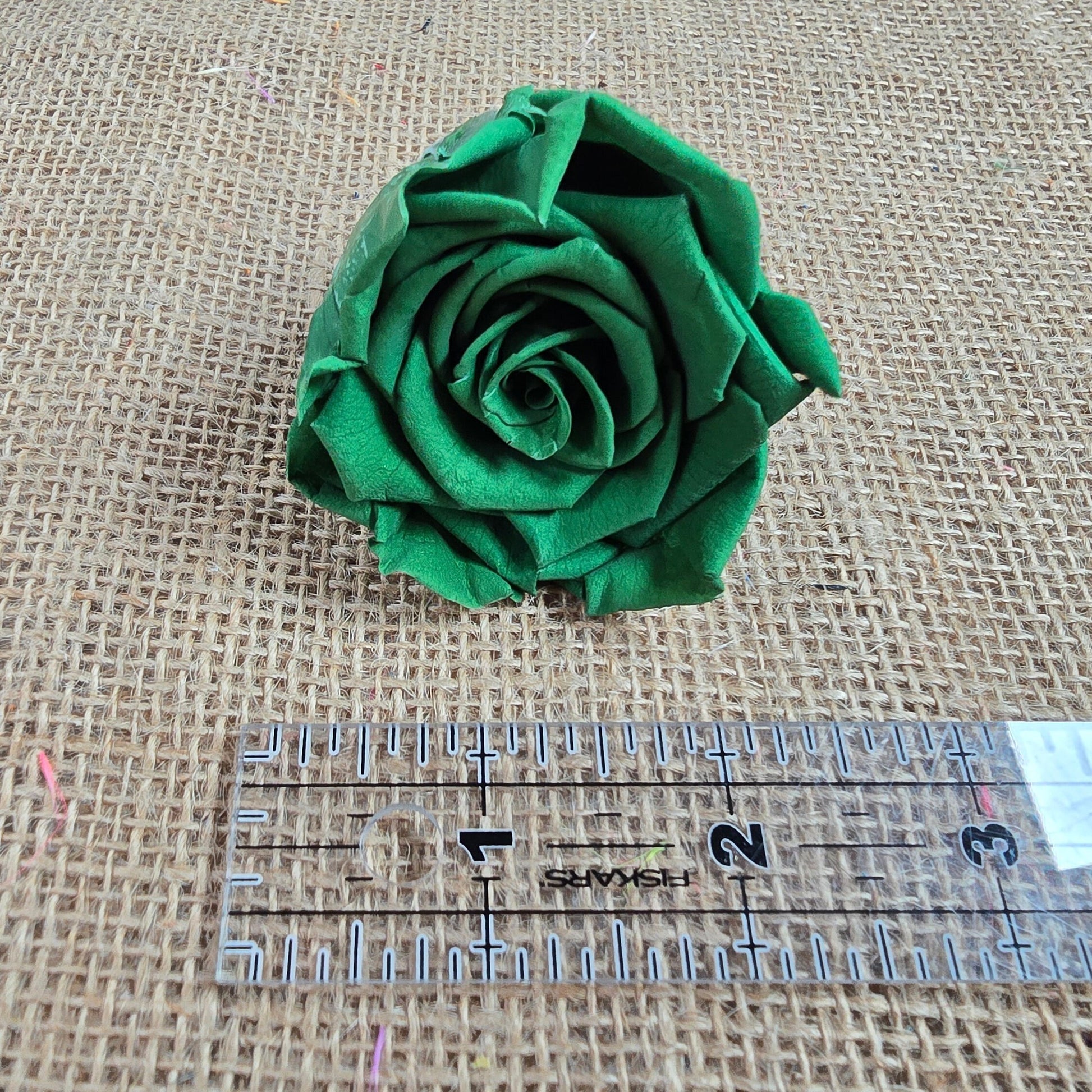 Dark Green Preserved Roses: Wedding Bouquet, Prom Decor - Set of 8