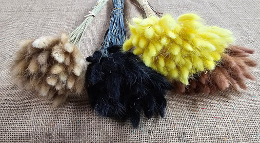 Black Dried Bunny Tail Grass Stems (50-55 stems) - Boho Wedding Decor