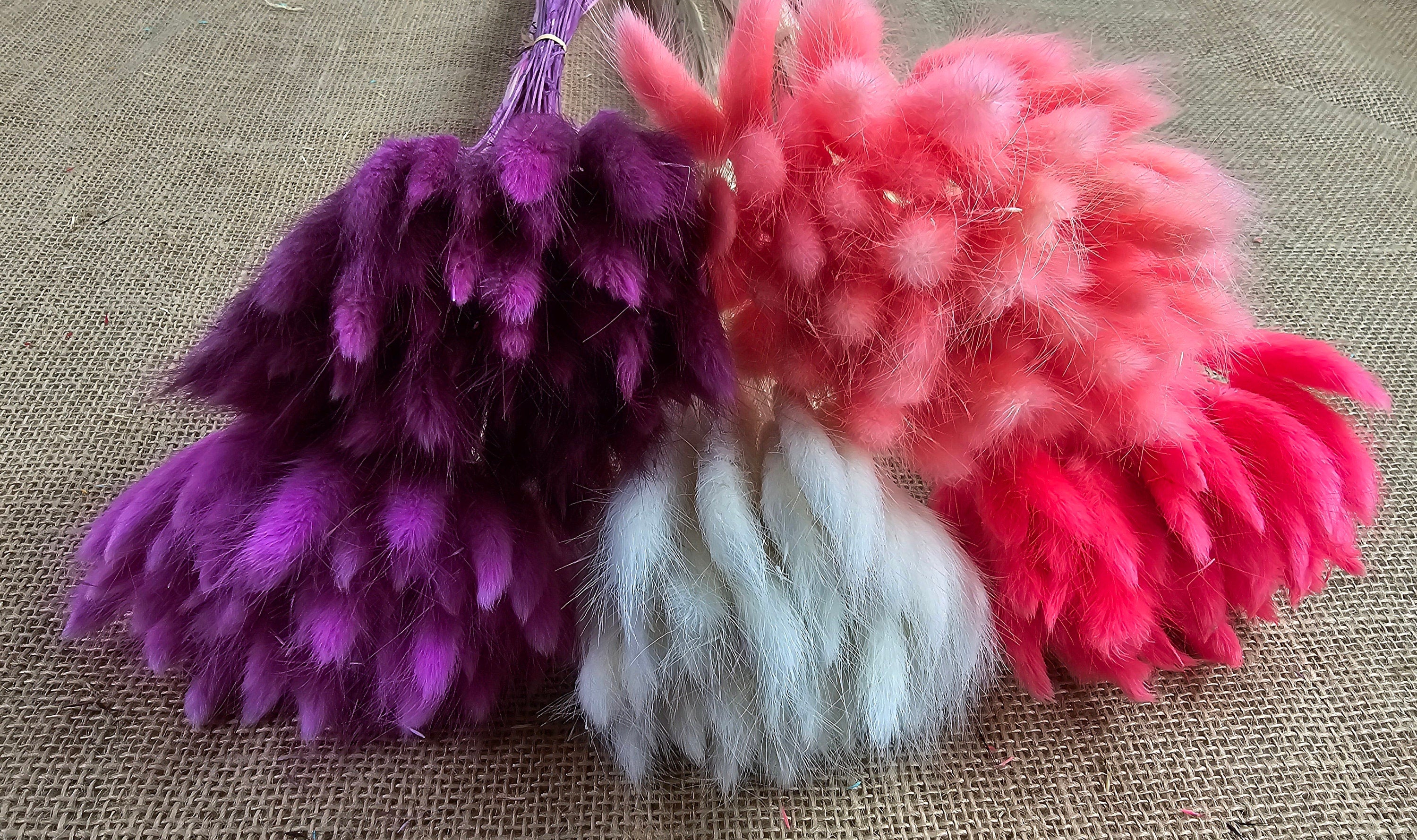 Purple Dried Bunny Tail Grass Stems: Boho Wedding Decor