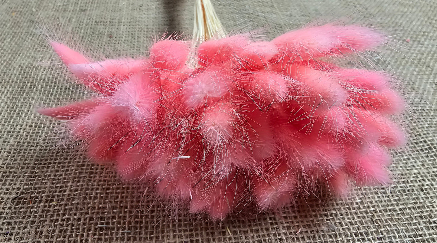 Purple Dried Bunny Tail Grass Stems: Boho Wedding Decor
