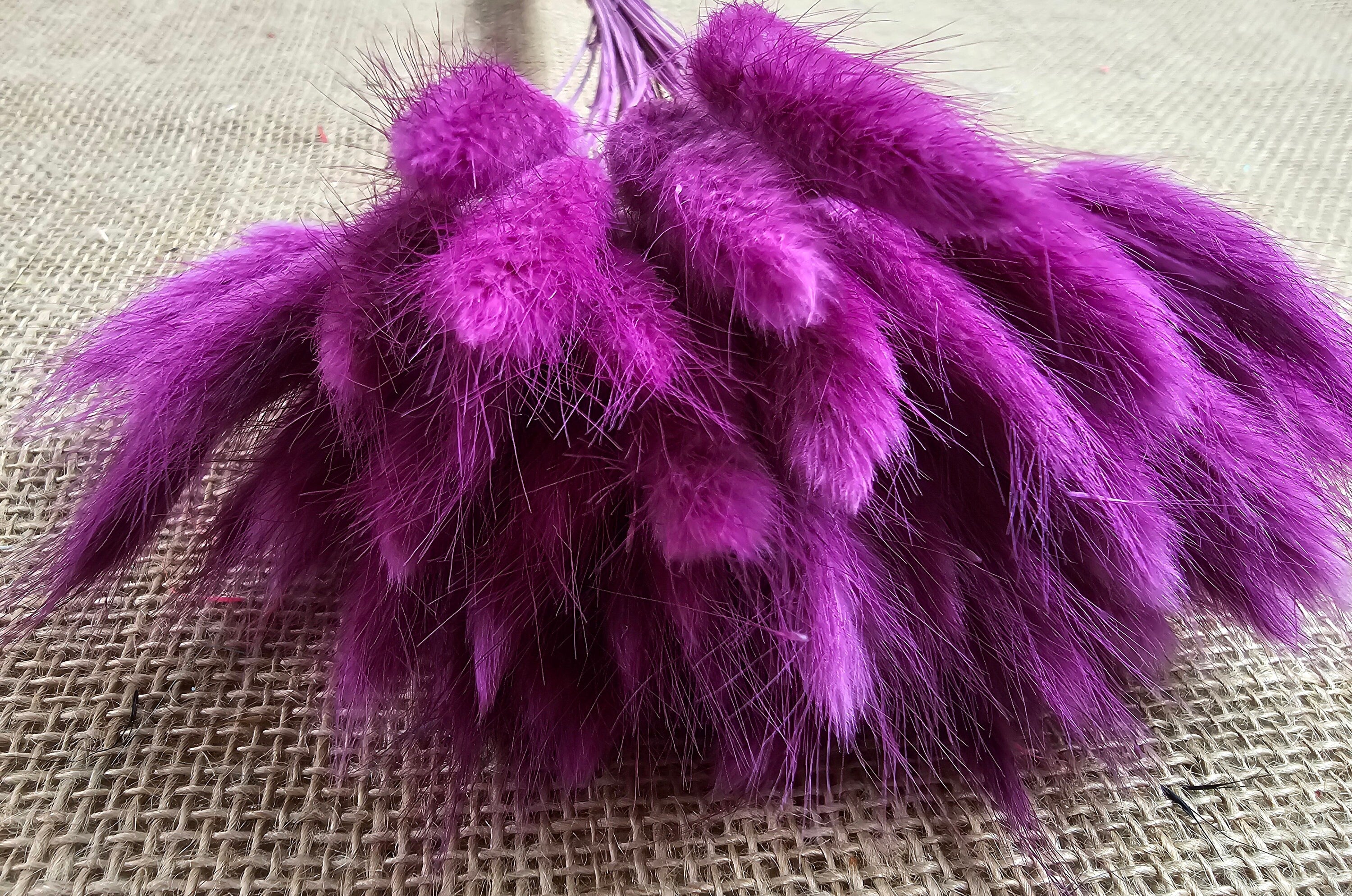 Purple Dried Bunny Tail Grass Stems: Boho Wedding Decor