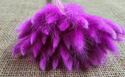 Purple Dried Bunny Tail Grass Stems: Boho Wedding Decor