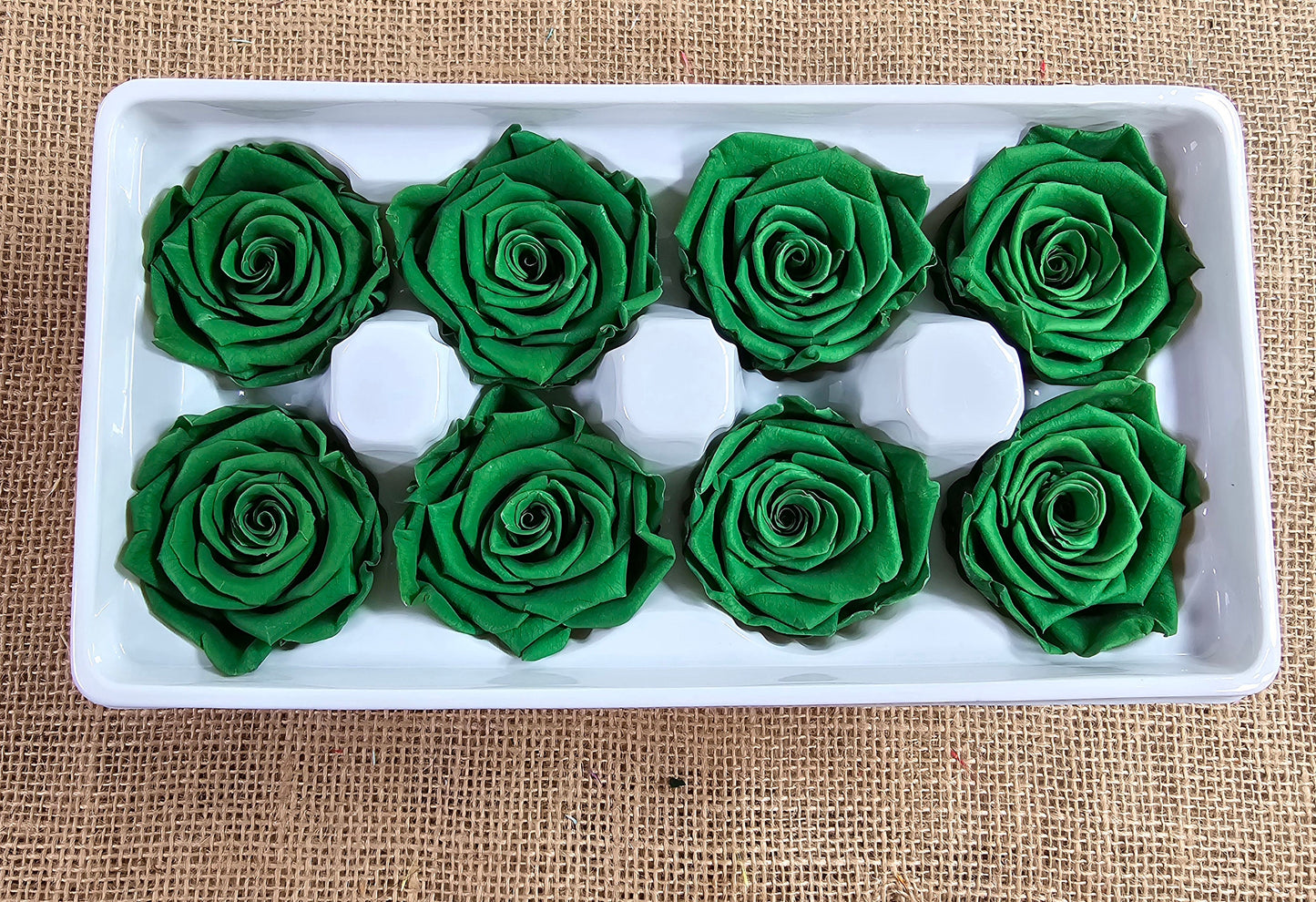 Dark Green Preserved Roses: Wedding Bouquet, Prom Decor - Set of 8