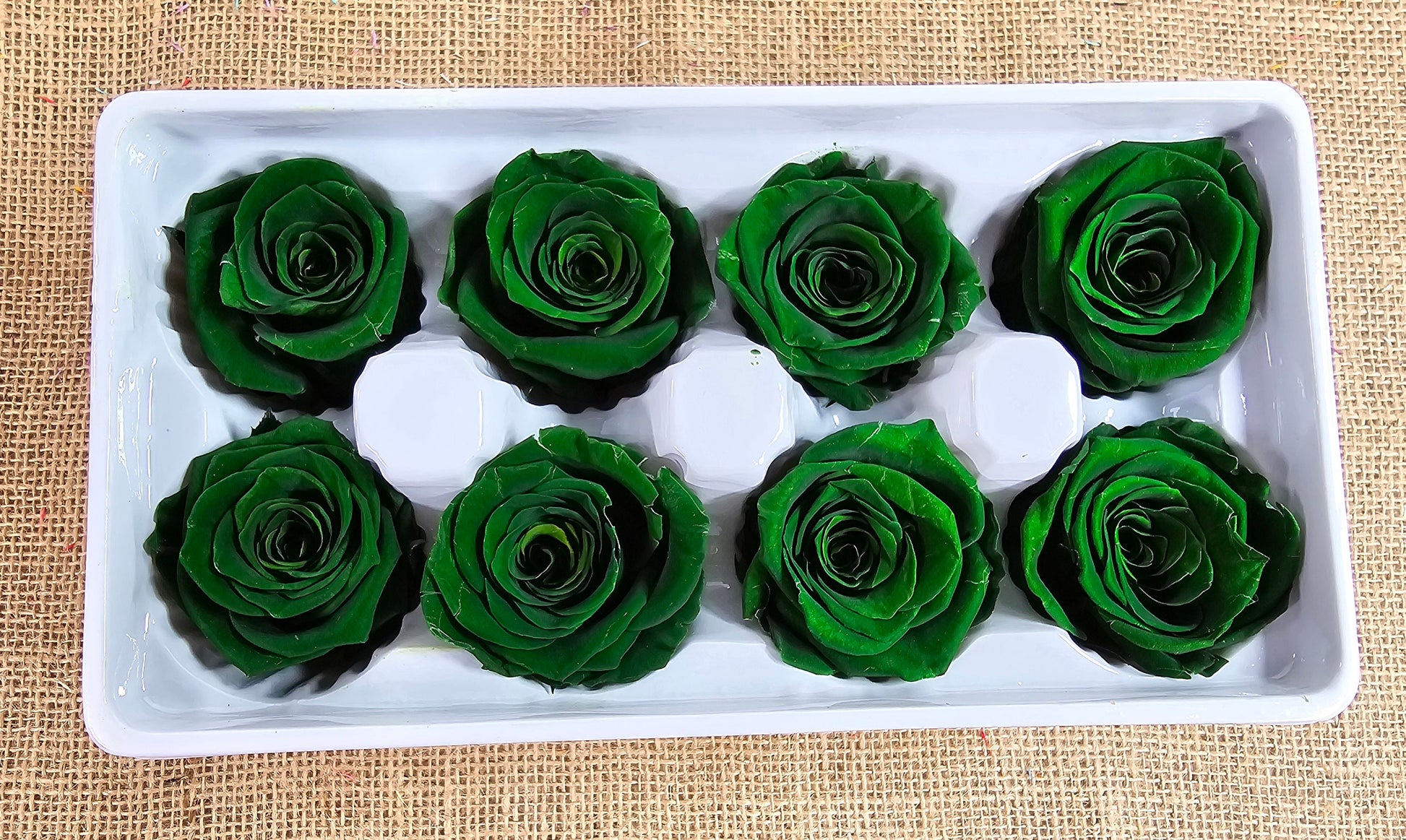 Dark Green Preserved Roses: Wedding Bouquet, Prom Decor - Set of 8