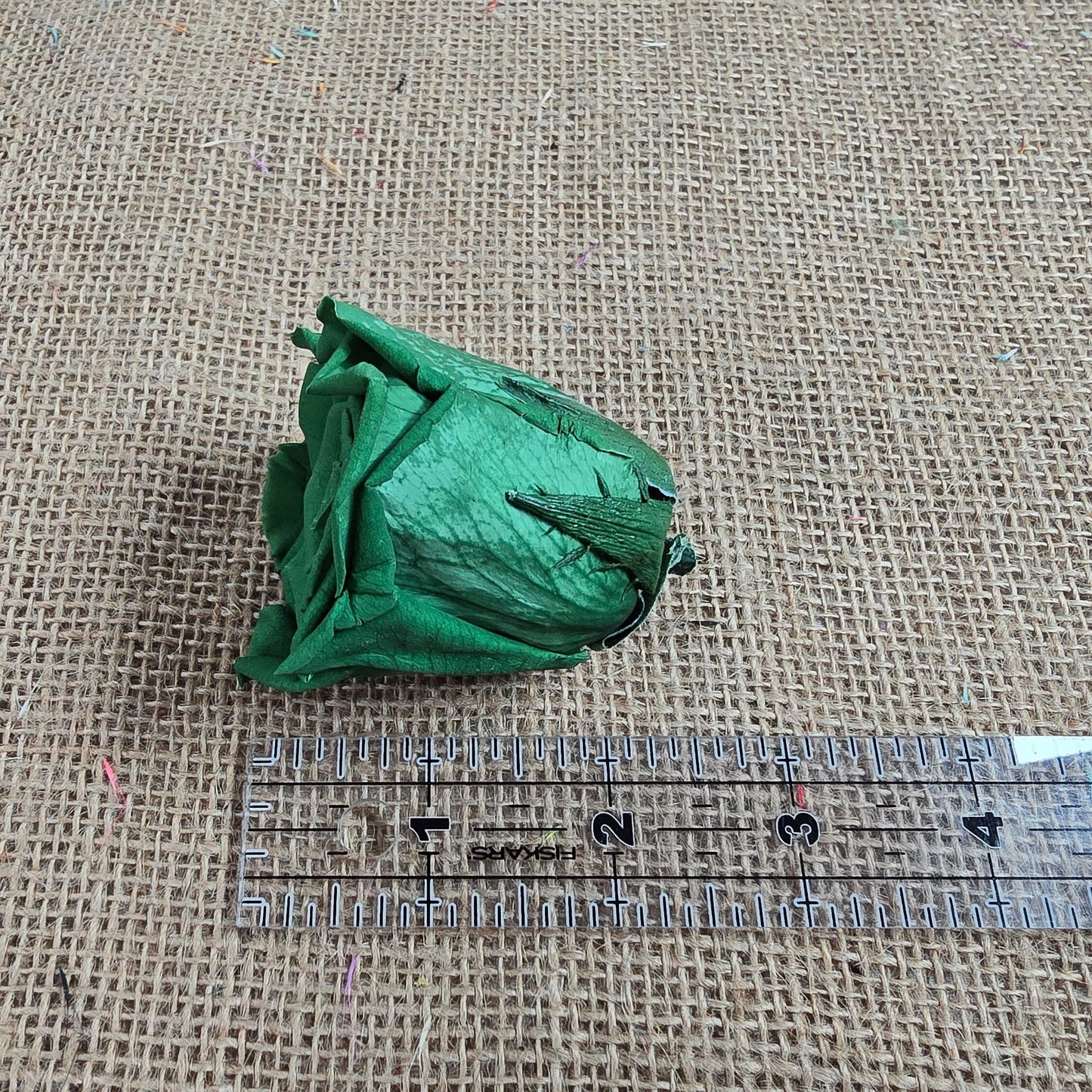 Dark Green Preserved Roses: Wedding Bouquet, Prom Decor - Set of 8