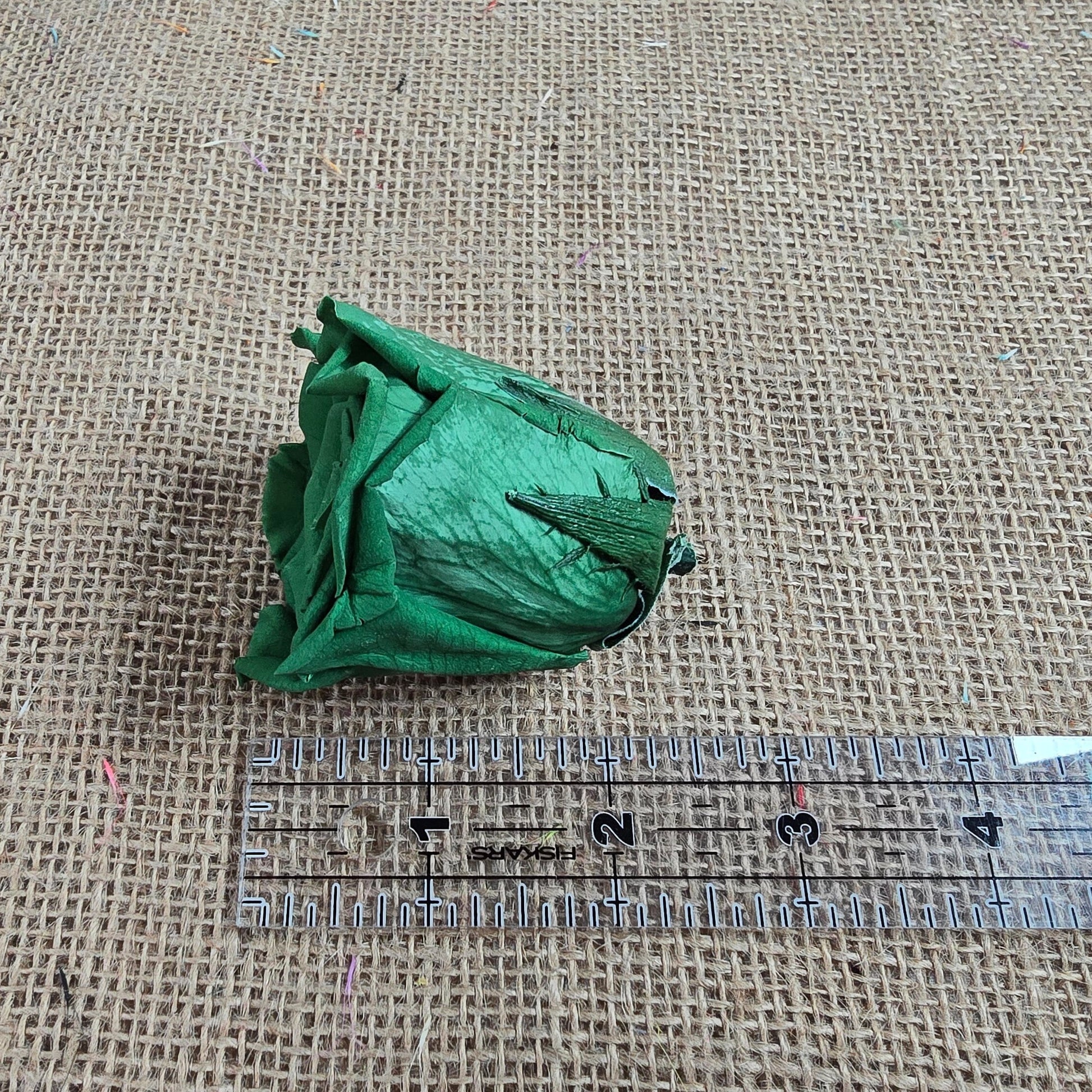 Dark Green Preserved Roses: Wedding Bouquet, Prom Decor - Set of 8
