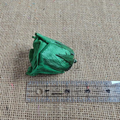 Dark Green Preserved Roses: Wedding Bouquet, Prom Decor - Set of 8