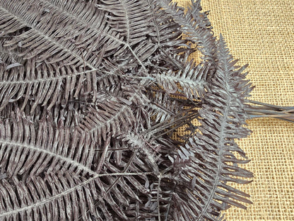 Black Preserved Mountain Fern Leaf: Floral Arrangement, Home Decor (10 Pack)
