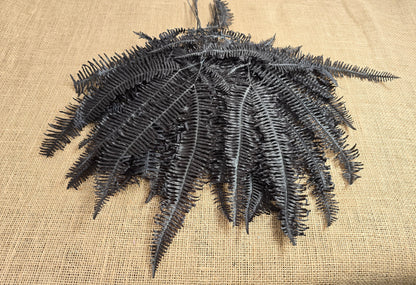Black Preserved Mountain Fern Leaf: Floral Arrangement, Home Decor (10 Pack)