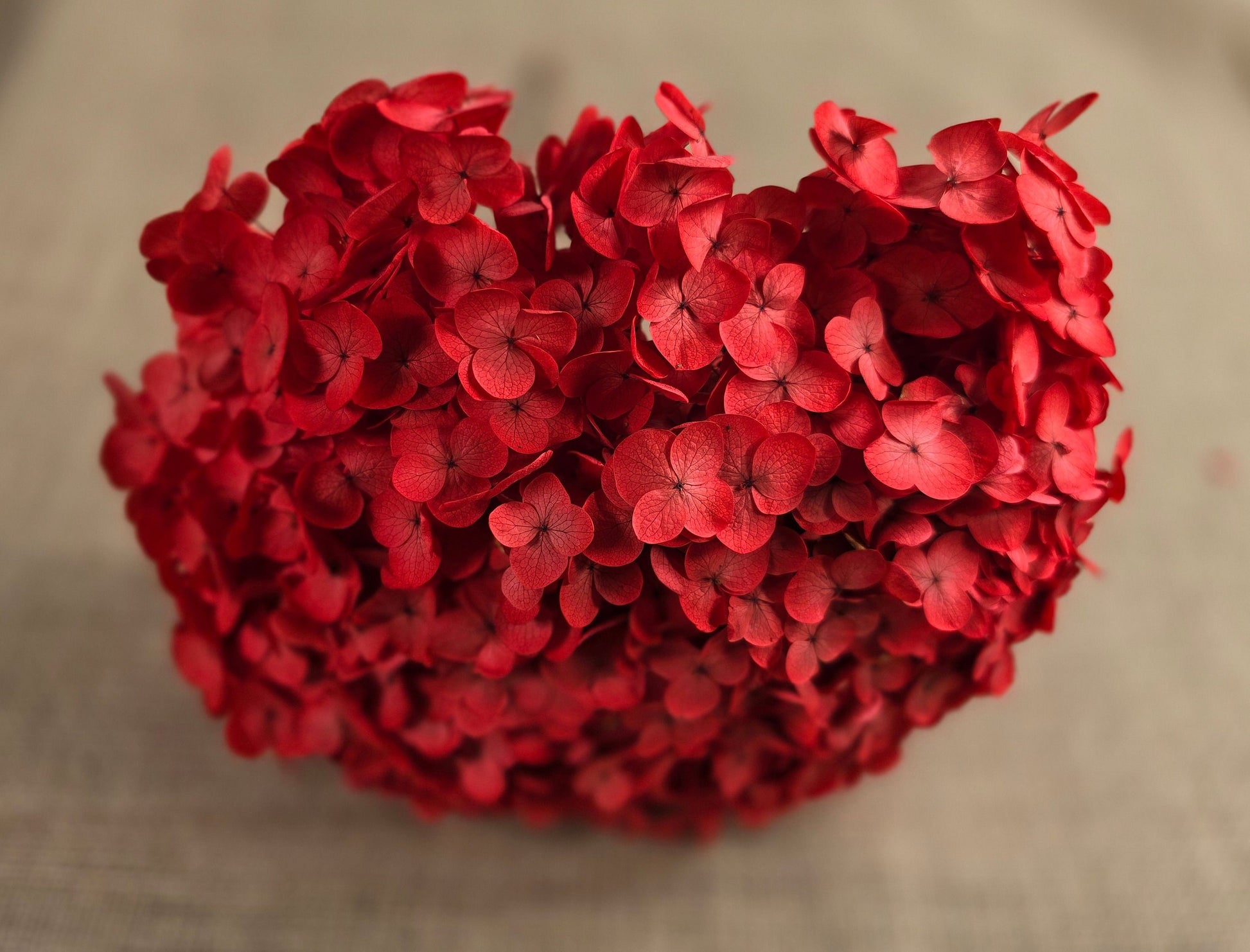 Red Preserved Hydrangea: Real Dried Wedding Flowers