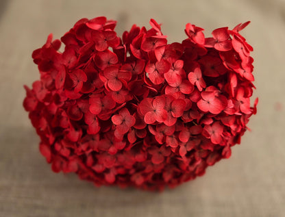 Red Preserved Hydrangea: Real Dried Wedding Flowers