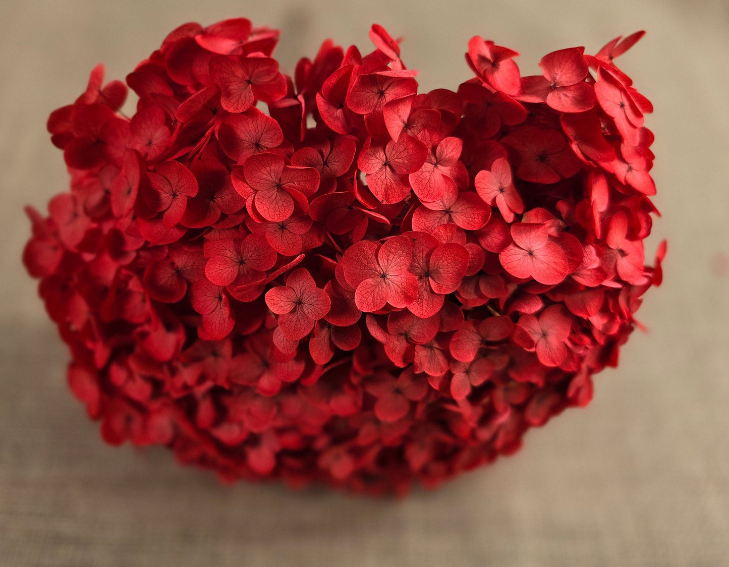 Red Preserved Hydrangea: Real Dried Wedding Flowers