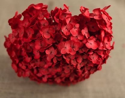 Red Preserved Hydrangea: Real Dried Wedding Flowers
