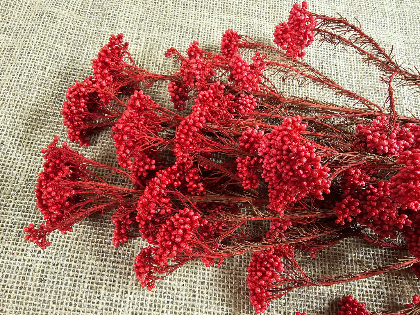 Red Preserved Rice Flower, Wedding Bouquet Filler, Floral Arrangement
