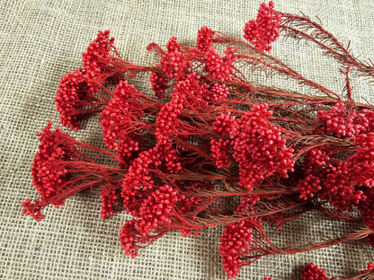 Red Preserved Rice Flower, Wedding Bouquet Filler, Floral Arrangement