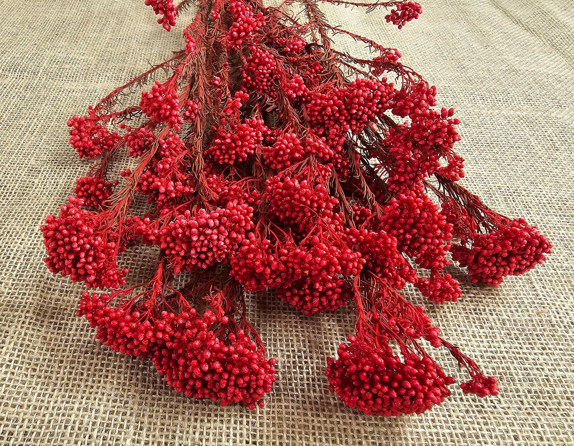 Red Preserved Rice Flower, Wedding Bouquet Filler, Floral Arrangement