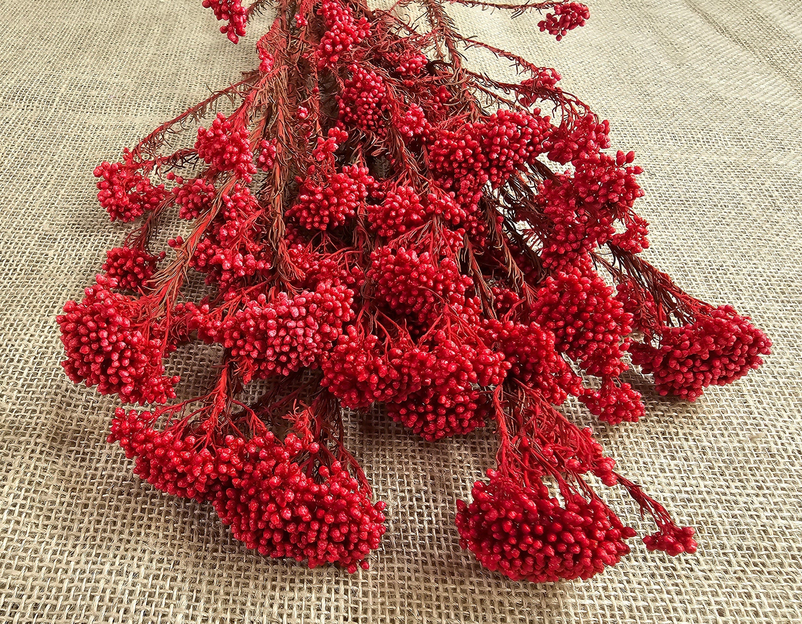 Red Preserved Rice Flower, Wedding Bouquet Filler, Floral Arrangement