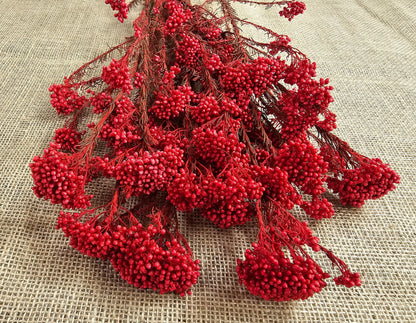 Red Preserved Rice Flower, Wedding Bouquet Filler, Floral Arrangement