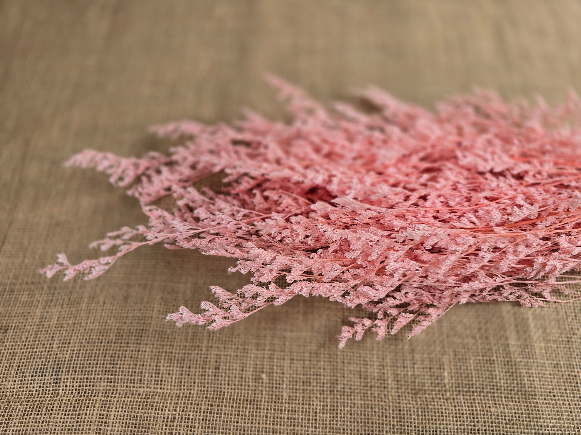 Pink Preserved Caspia: Soft Floral Arrangement, Wedding Home Decor