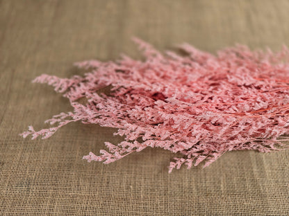 Pink Preserved Caspia: Soft Floral Arrangement, Wedding Home Decor