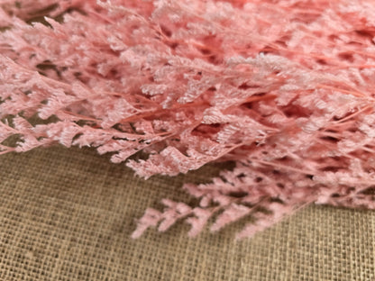 Pink Preserved Caspia: Soft Floral Arrangement, Wedding Home Decor