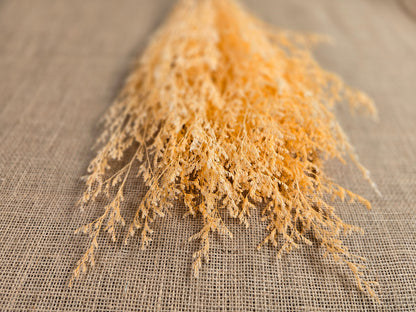 Champagne Caspia: Soft Preserved Floral Arrangement, Wedding Home Decor