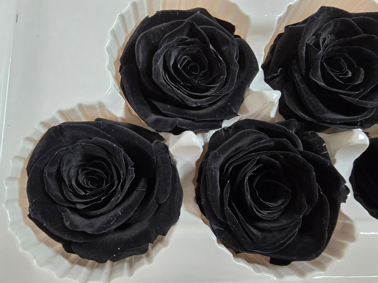 6 Black Preserved Roses: Large Floral Wedding Decor