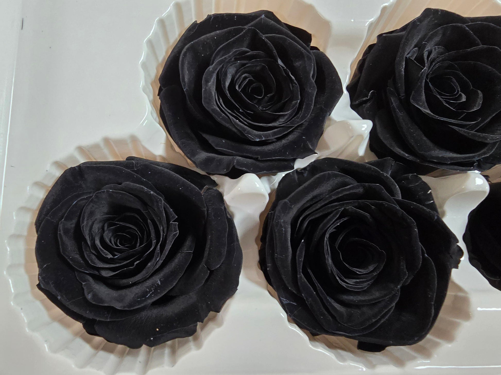 6 Black Preserved Roses: Large Floral Wedding Decor