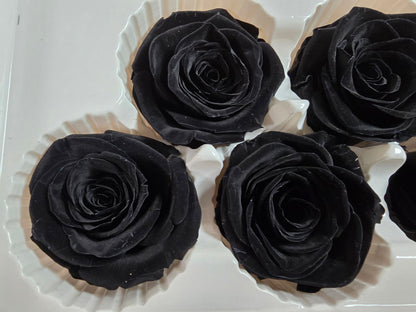 6 Black Preserved Roses: Large Floral Wedding Decor