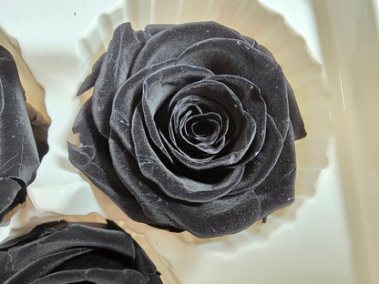6 Black Preserved Roses: Large Floral Wedding Decor