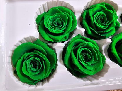 6 Green Preserved Roses: Large Floral Wedding Decor