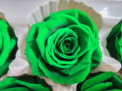 6 Green Preserved Roses: Large Floral Wedding Decor