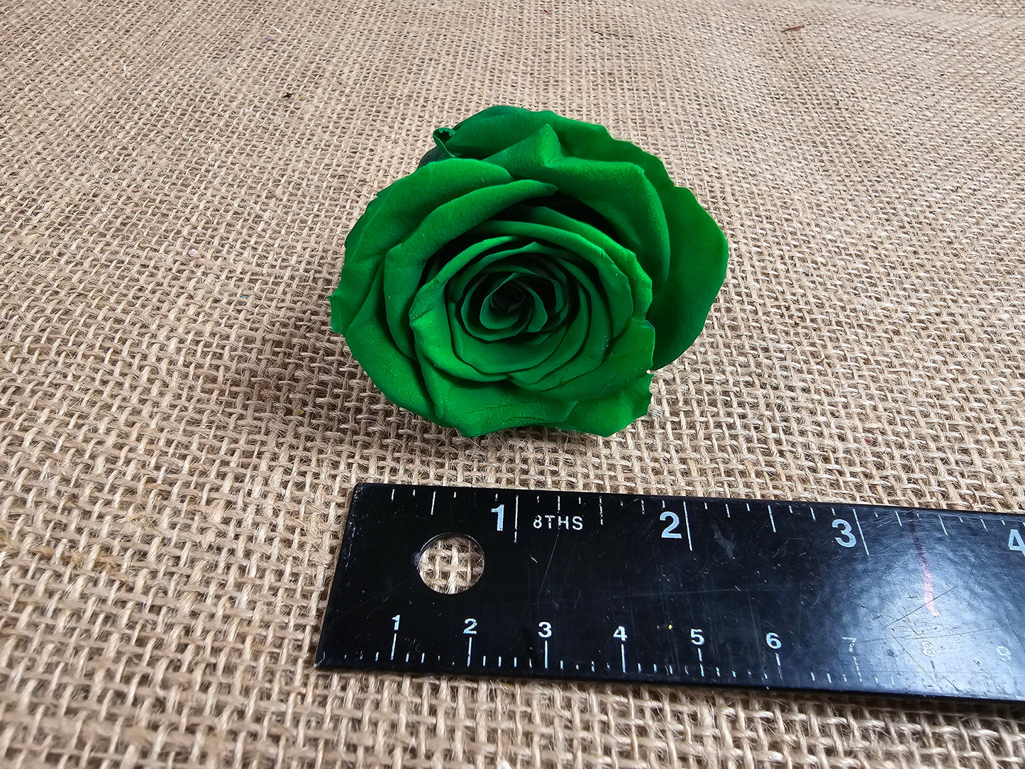 6 Green Preserved Roses: Large Floral Wedding Decor