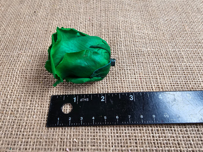 6 Green Preserved Roses: Large Floral Wedding Decor