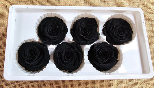 6 Black Preserved Roses: Large Floral Wedding Decor