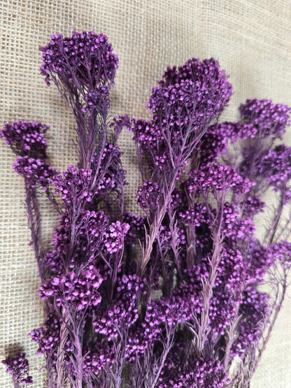 Peris Purple Preserved Rice Flower: Wedding Bouquet Filler (19-20" Tall)