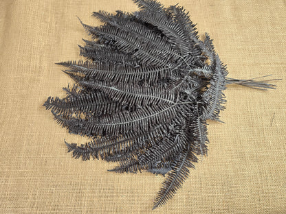 Black Preserved Mountain Fern Leaf: Floral Arrangement, Home Decor (10 Pack)