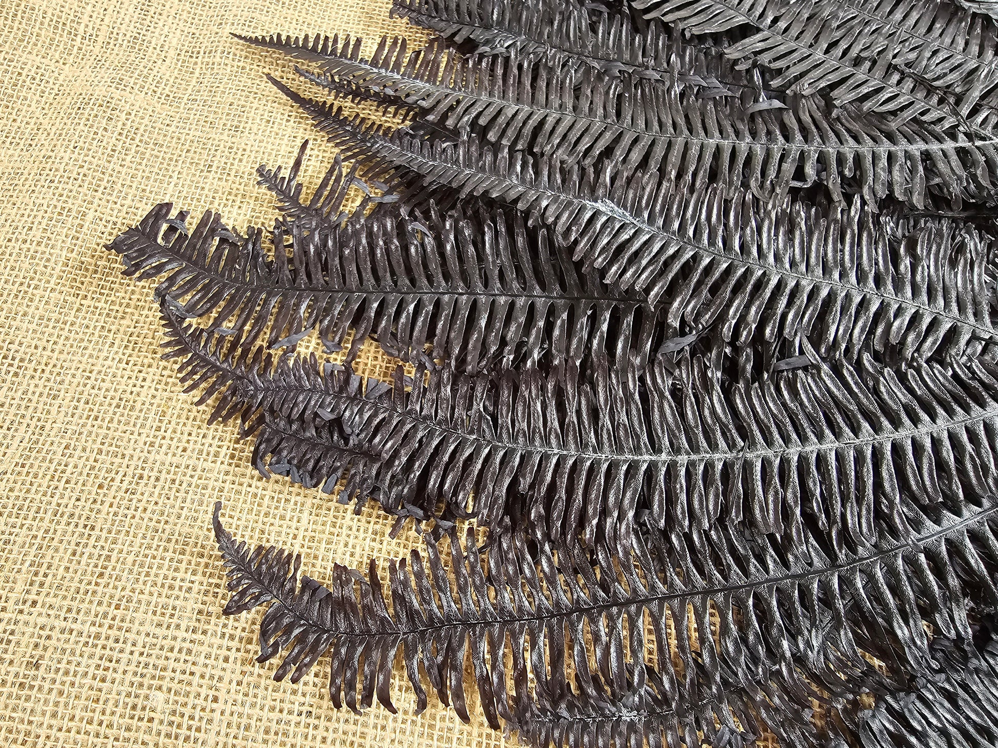 Black Preserved Mountain Fern Leaf: Floral Arrangement, Home Decor (10 Pack)