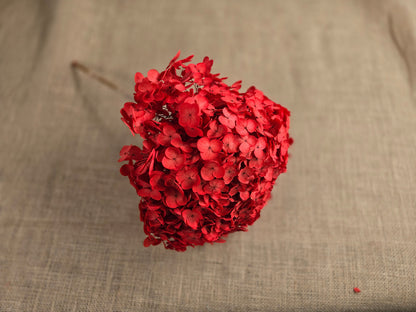 Red Preserved Hydrangea: Real Dried Wedding Flowers