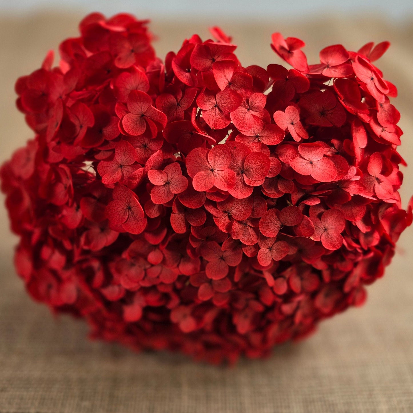 Red Preserved Hydrangea: Real Dried Wedding Flowers
