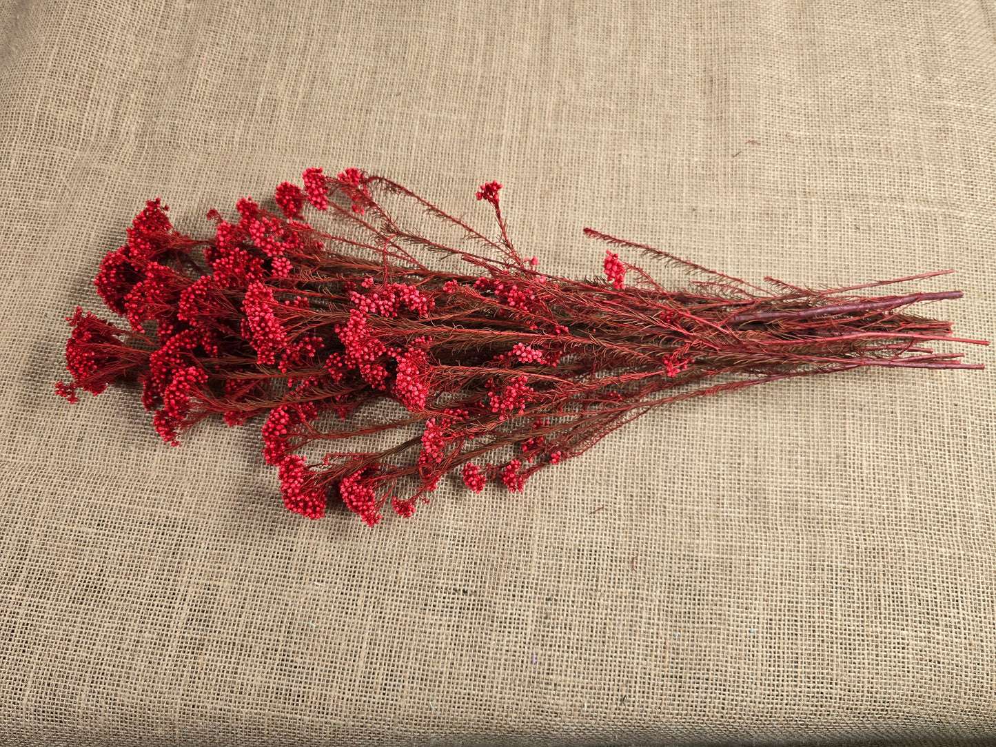 Red Preserved Rice Flower, Wedding Bouquet Filler, Floral Arrangement