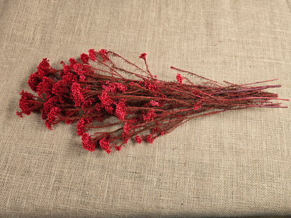 Red Preserved Rice Flower, Wedding Bouquet Filler, Floral Arrangement